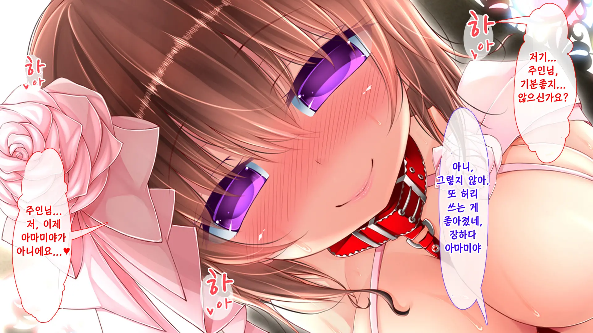 Tadashii Kanojo (Pet) No Kaikata